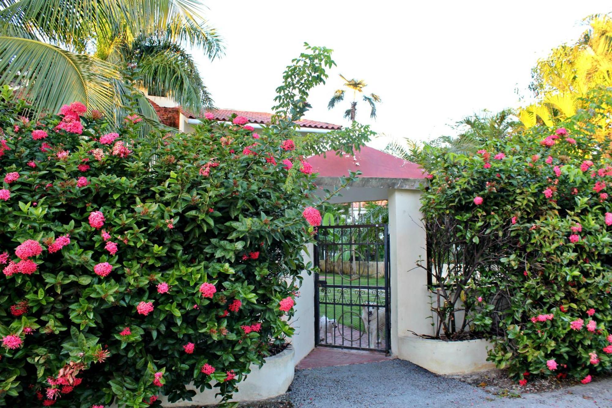 Sweet Home Punta Cana Guest House - Villa Q15A 外观 照片
